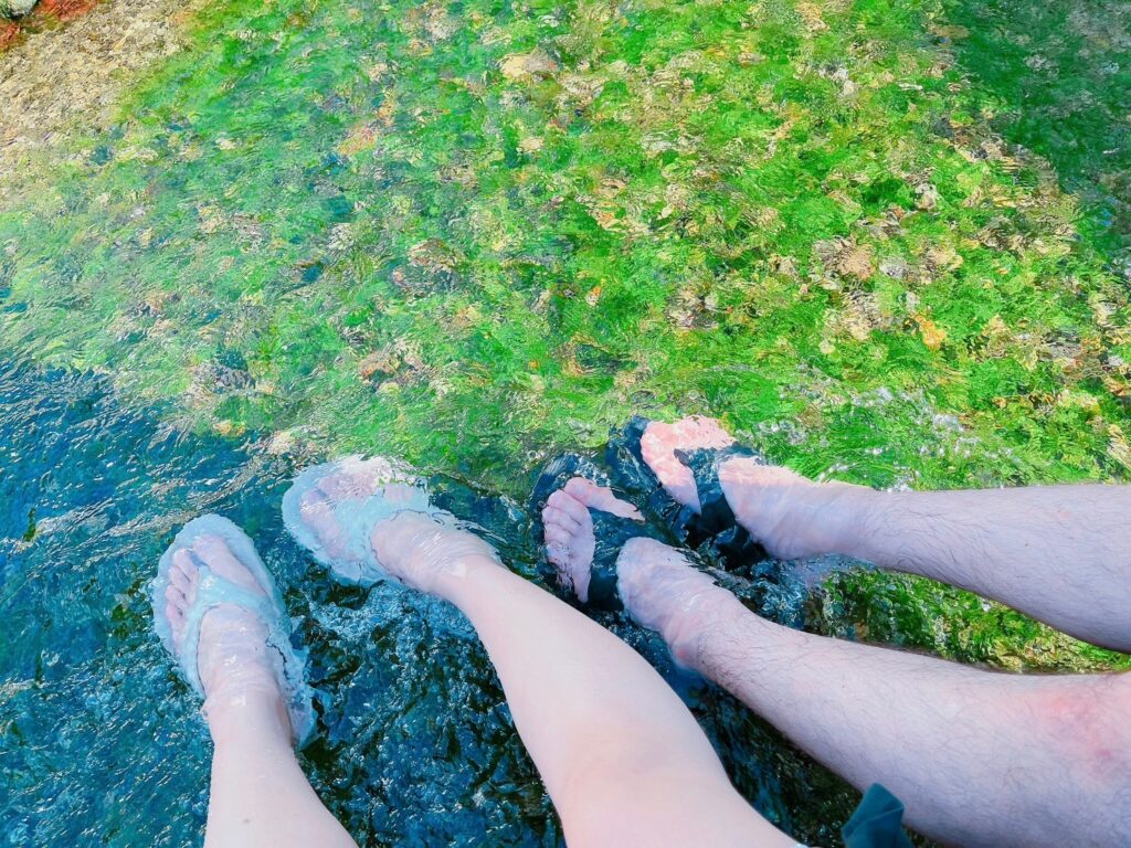 丸池湧水