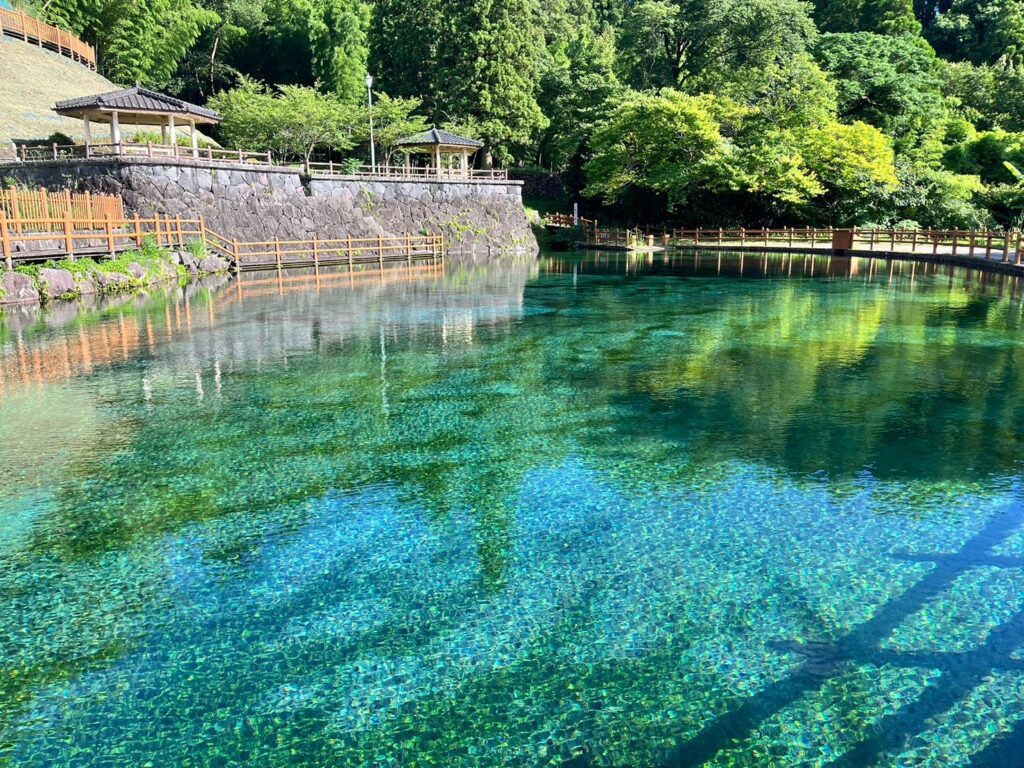 丸池湧水