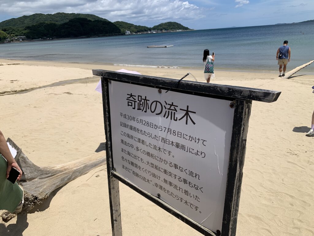 活魚茶屋ざうお　奇跡の流木