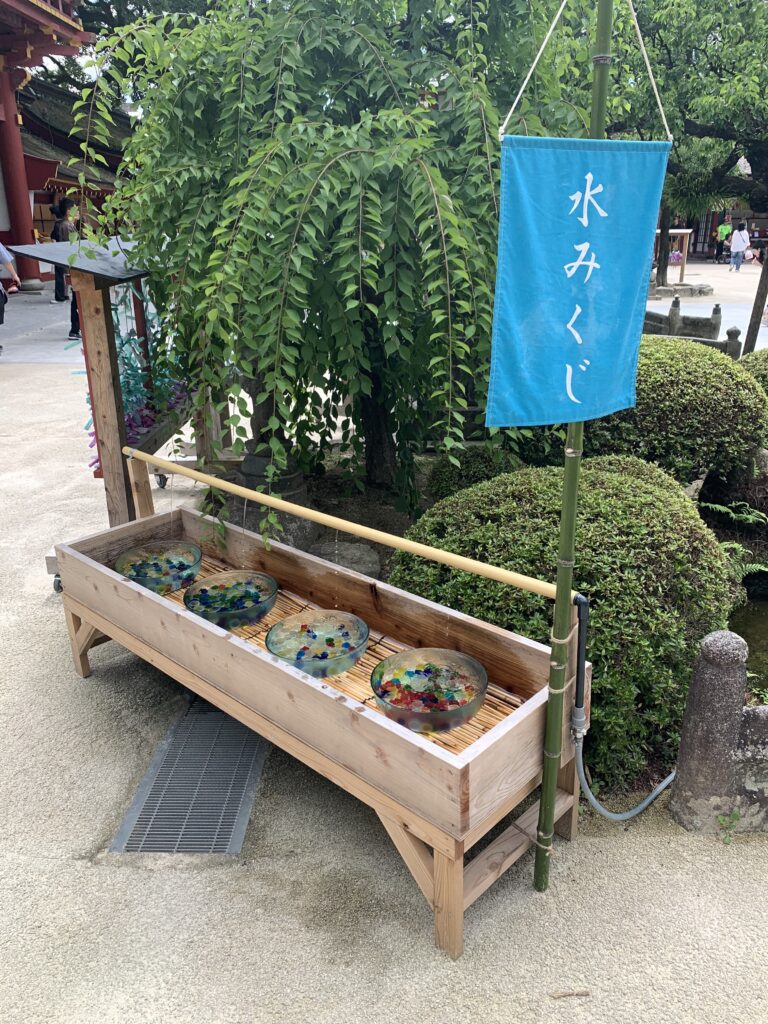 太宰府天満宮水みくじ