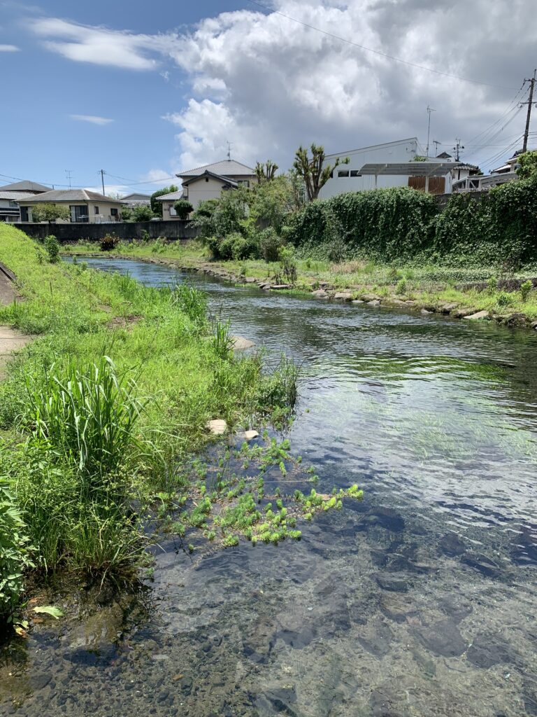 下六嘉湧水群