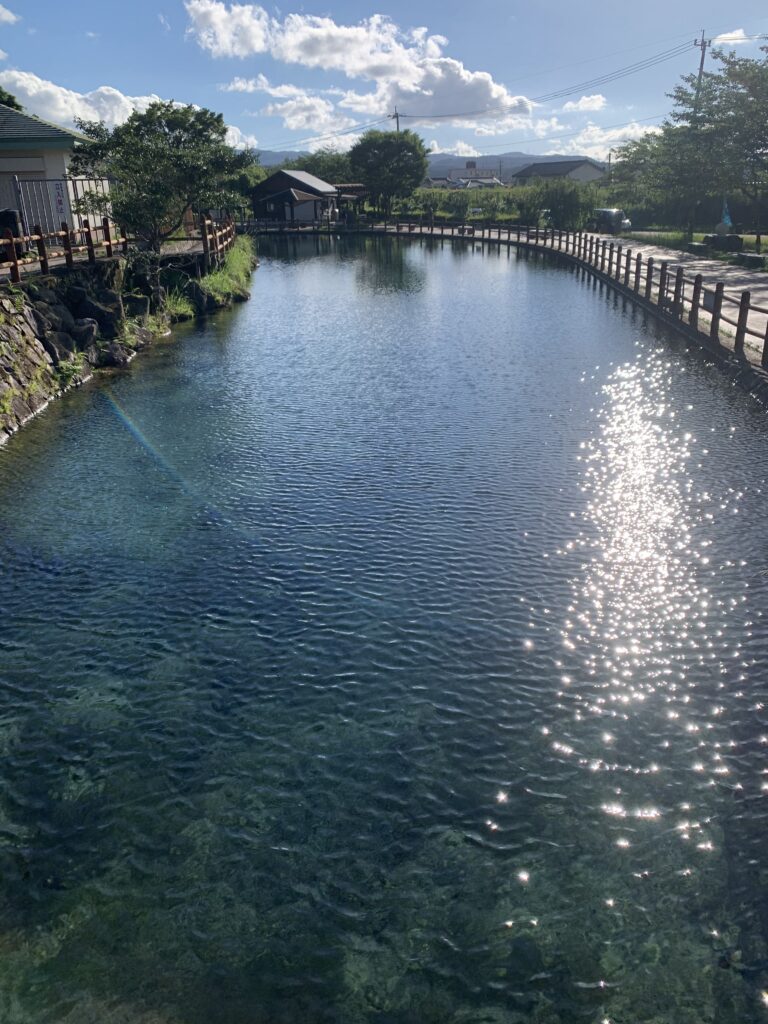 丸池湧水