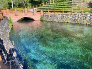 エメラルドに輝く名水スポット！鹿児島・丸池湧水で癒しのひととき｜仙台⇒九州車...