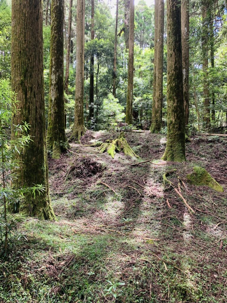 霧島神宮山神社