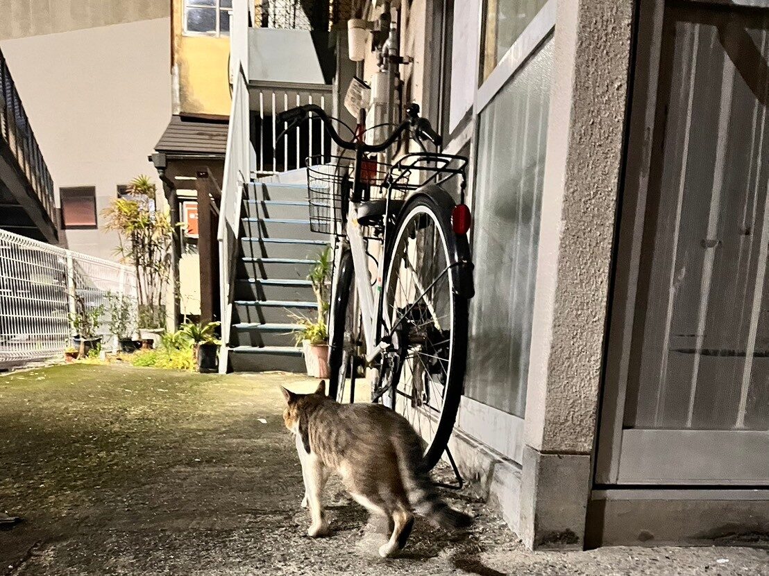 別府路地