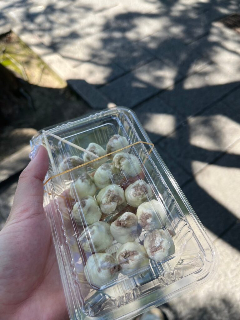海地獄極楽饅頭