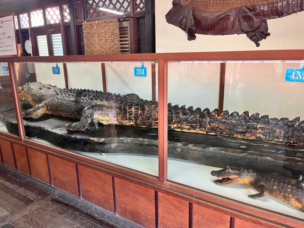 鬼山地獄標本