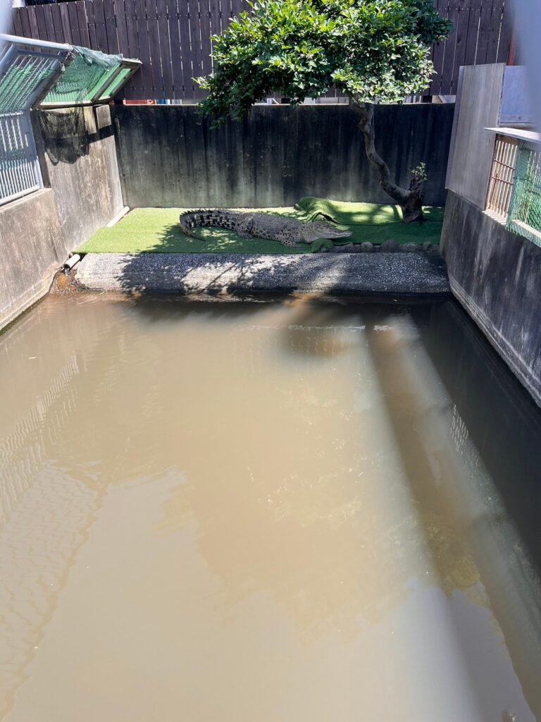 鬼山地獄ワニ