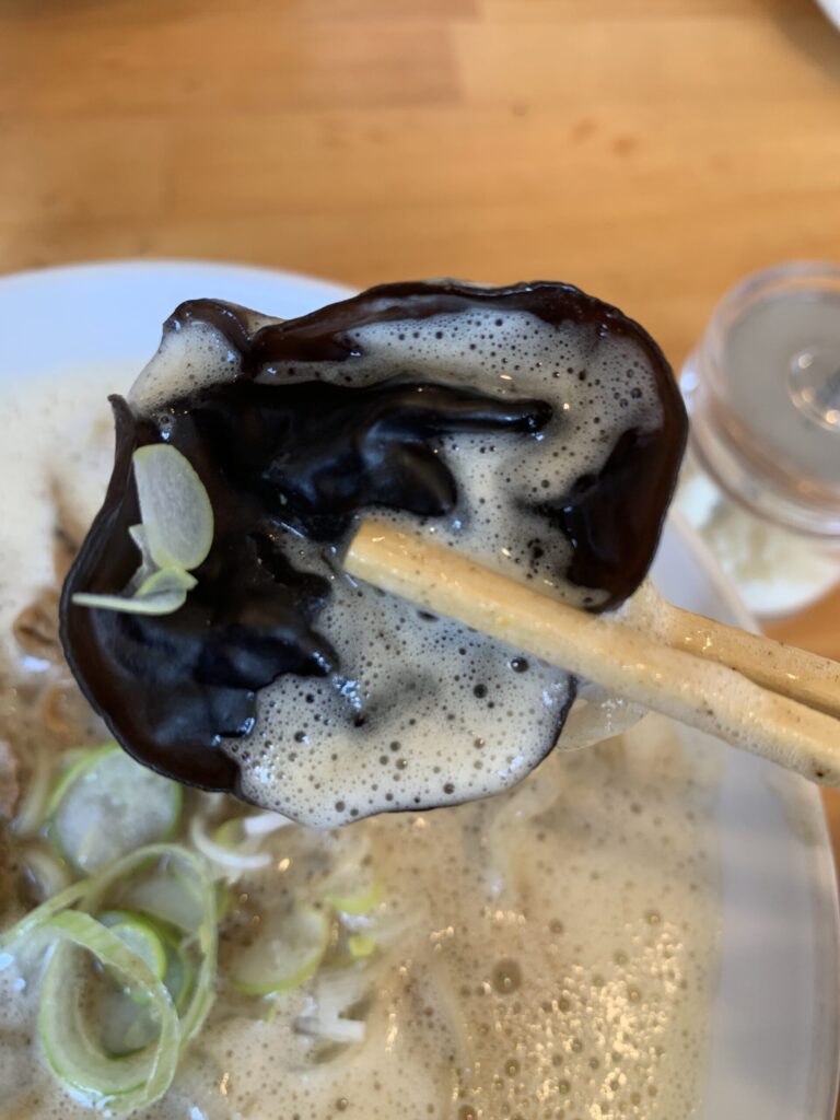 自家製麺仁濃厚泡中華そば黒きくらげ