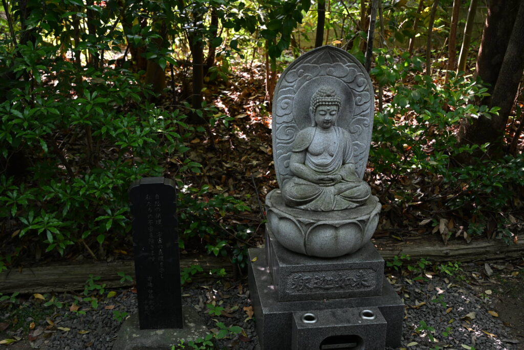 輪王寺十三仏釈迦如来