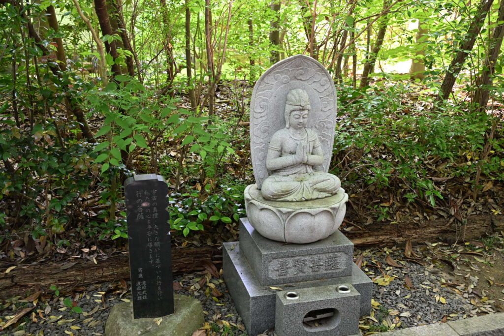 輪王寺十三仏普賢菩薩