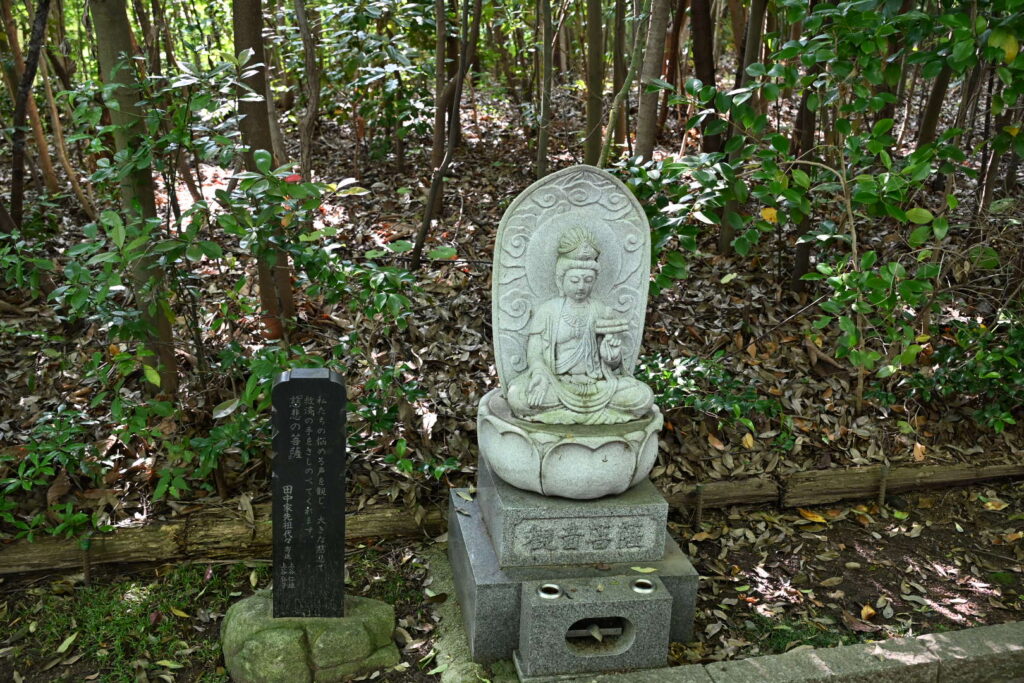 輪王寺十三仏観音菩薩