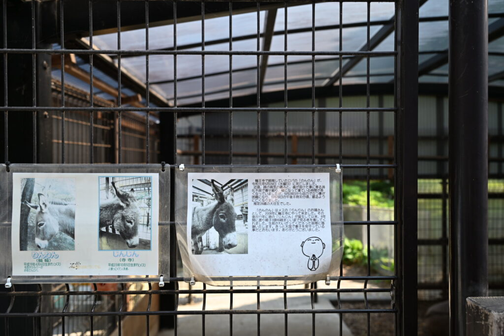 輪王寺ロバ