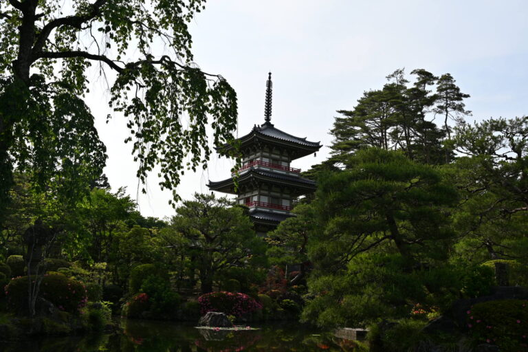 【仙台・輪王寺】アクセス・見どころまとめ｜庭園・十三仏で心を整える癒しの禅寺