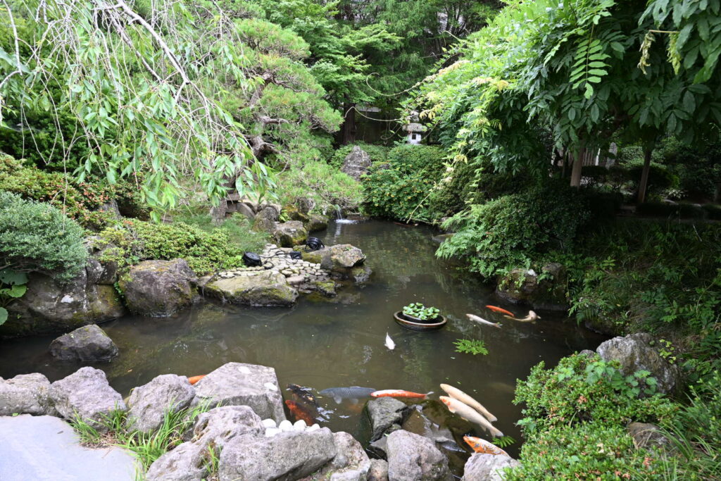 金蛇水神社 池