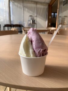 バイデン元大統領も注目！名取「ナチュリノ」で味わう極上ジェラートとクレープ体...