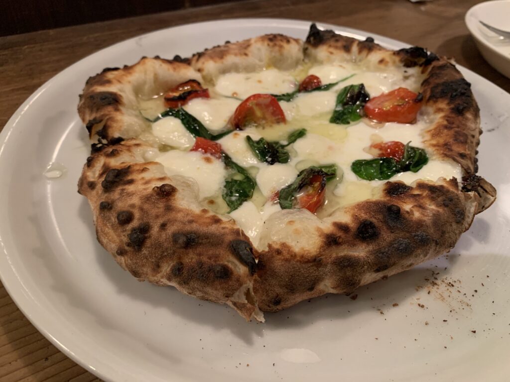 Dottore(ドットーレ) ドットーレ