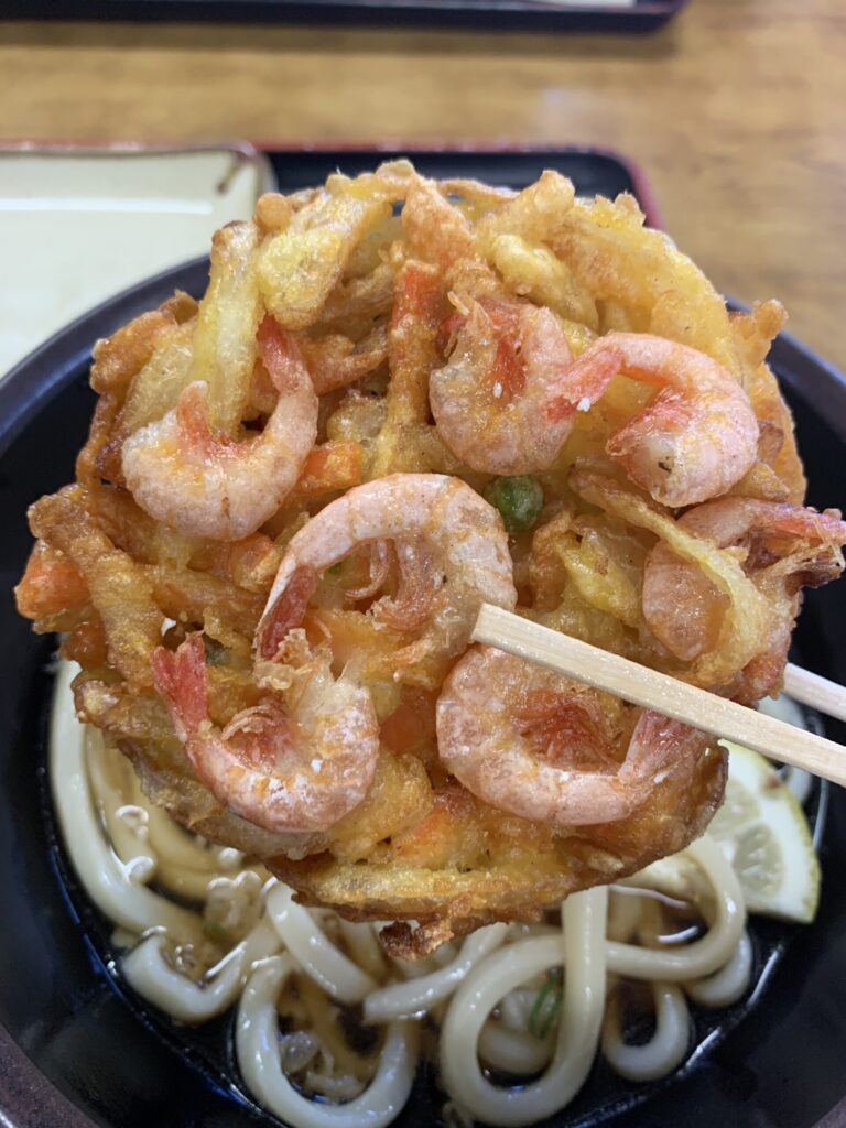 山下うどんかき揚げ