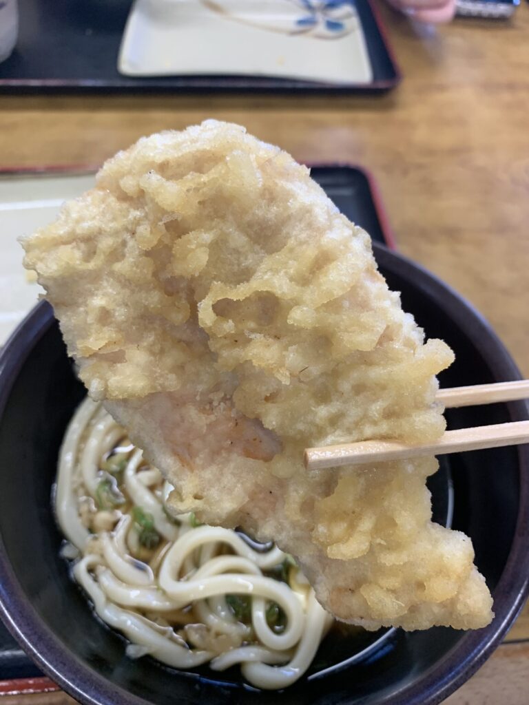 山下うどんとり天