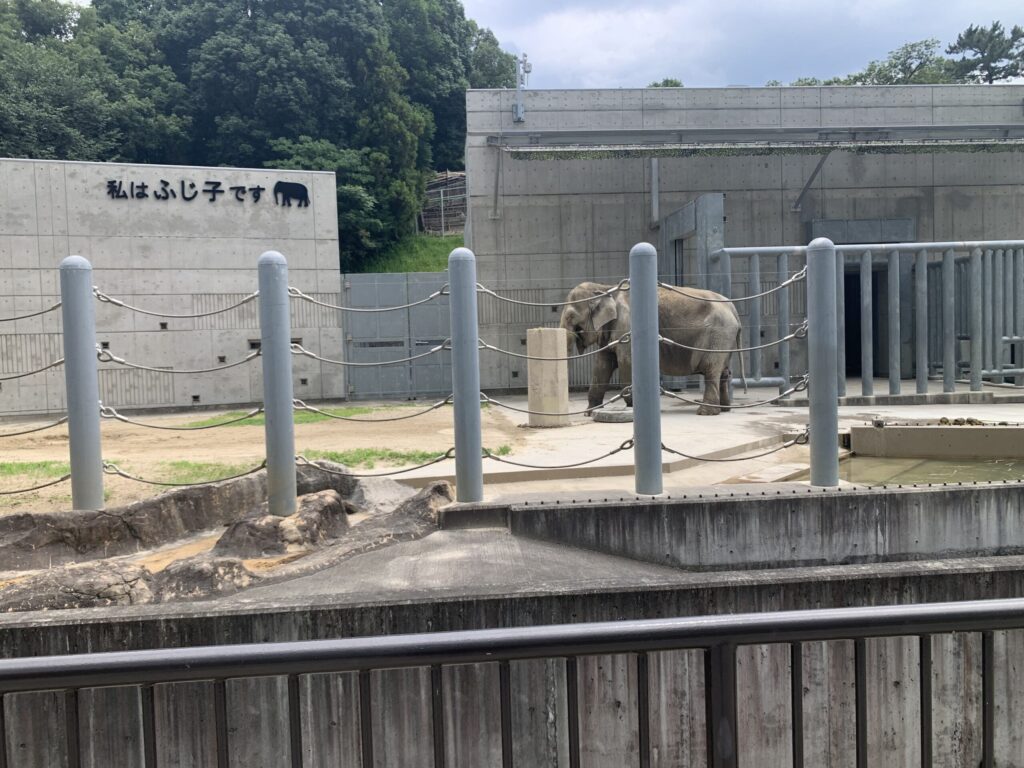 岡崎市東公園動物園象